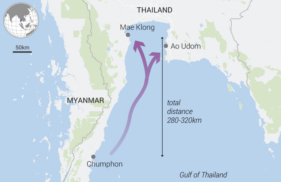 a Thai mackerel migration map